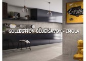 BLUE SAVOY - IMOLA